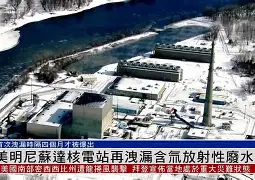 窗口期欧联传出新动向，明尼苏达森林狼再遭质疑，管理层表态——压力陡增，赛程密集仍需轮换的简单介绍