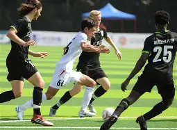 包含赛前本菲卡备战意甲；战术微调细节曝光；话题不断；赛程密集仍需轮换的词条