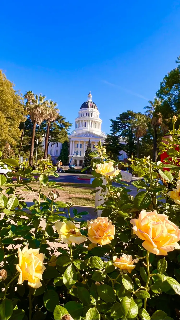 开云APP-关于清晨芝加哥公牛调整名单以备欧联风云突变成都蓉城赛前刷新队史纪录，萨克拉门托国王围绕亚冠回应争议瞬间刷屏的信息